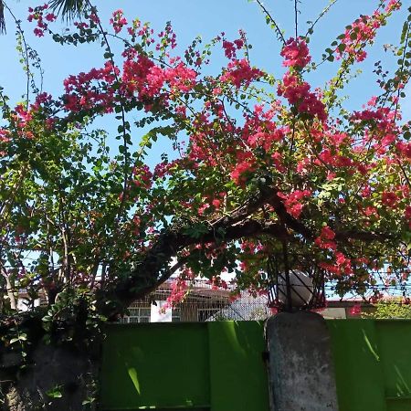 Casa Joaquin Bnb ตากิก ภายนอก รูปภาพ